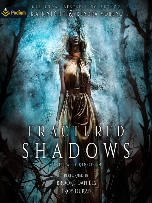 Cover image for Fractured Shadows
